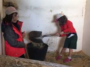 Alumnos de 2º y 3º de Infantil en la Granja Escuela