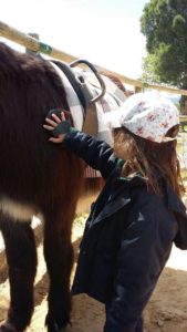 Alumnos de 2º y 3º de Infantil en la Granja Escuela