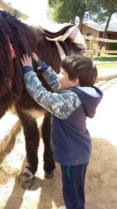 Alumnos de 2º y 3º de Infantil en la Granja Escuela