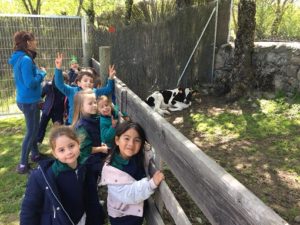 Alumnos de 2º y 3º de Infantil en la Granja Escuela