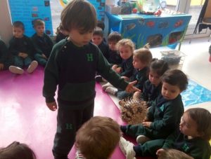 Exposición sobre los peces en Nursery 2