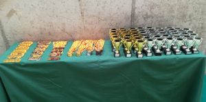 Final de torneo GIMNASTIKA 
