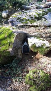 Visita al Bosque encantado. 2º Infantil 