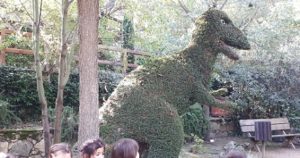 Visita al Bosque encantado. 2º Infantil 