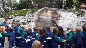 Visita al Bosque encantado. 2º Infantil 