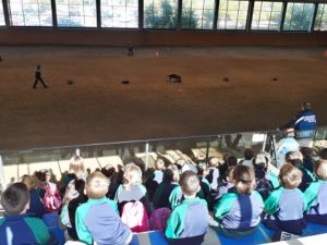 Alumnos de 2º de Primaria visitan las instalaciones de la Policía Municipal de Madrid