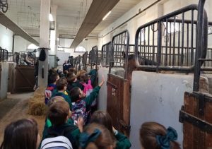 Alumnos de 2º de Primaria visitan las instalaciones de la Policía Municipal de Madrid