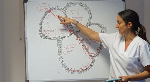 Taller sobre el paro cardiaco para alumnos de 6º de Primaria