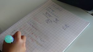 Estudio de Ecosistemas en China en 5º Primaria