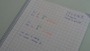Estudio de Ecosistemas en China en 5º Primaria