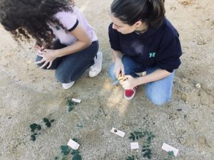 Estudio de la vegetación y el suelo de Tres Cantos. 