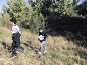 Estudio de la vegetación y el suelo de Tres Cantos. 