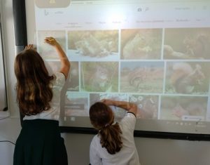 Inteligencia emocional en 5º de Primaria