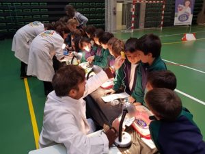 Taller Mad Science en Primaria