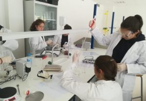 Práctica de química de los alumnos de 1º de Bachillerato