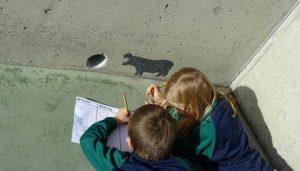 Reto semanal en 1º de Primaria