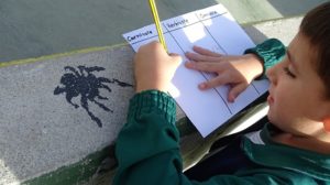 Reto semanal en 1º de Primaria