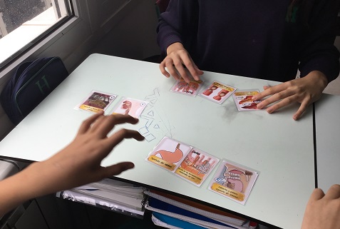 Aparato digestivo en 3º de ESO