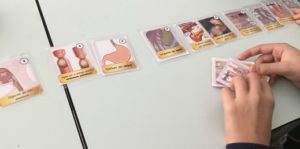Aparato digestivo en 3º de ESO