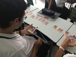 Aparato digestivo en 3º de ESO