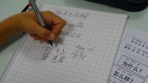 Frases interrogativas en 5º de Primaria