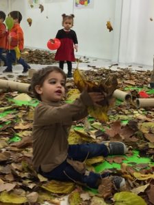 Fiesta del otoño en Nursery
