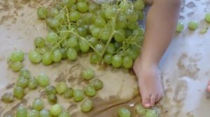 La vendimia en Nursery