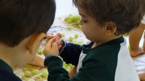 La vendimia en Nursery