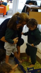 La vendimia en Nursery