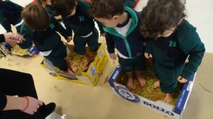 La vendimia en Nursery