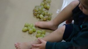 La vendimia en Nursery