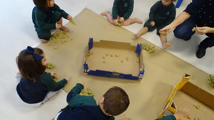 La vendimia en Nursery