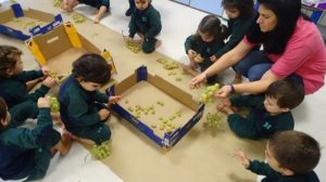 La vendimia en Nursery