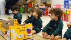 La vendimia en Nursery
