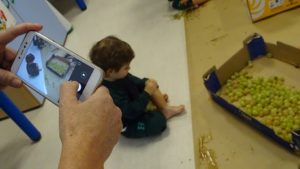 La vendimia en Nursery
