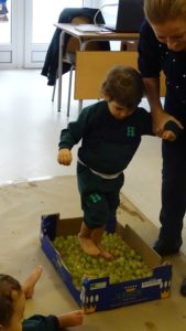 La vendimia en Nursery