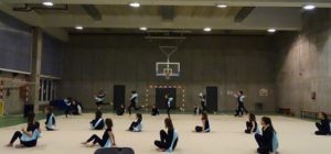 Exhibición de gimnasia rítmica