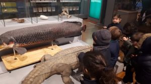 Visita al Museo de Ciencias Naturales en 2º de Infantil