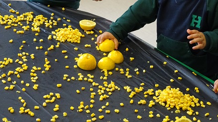 Trabajando el color amarillo