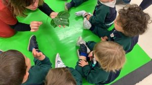 Taller de Música en Nursery 1