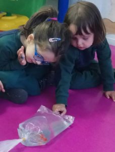 Proyecto Pez arcoiris en Nursery 2