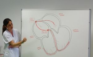 Taller de primeros auxilios para padres