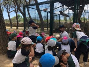 Ya están en la granja escuela 2º y 3º de Infantil
