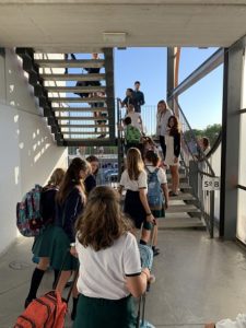 Curso 2019-2020 en Primaria