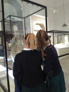 Visita al Museo arqueológico nacional