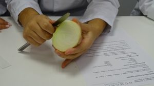 Estudiando el proceso de la ósmosis en 1º de Bachillerato