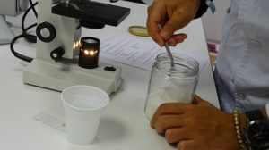 Estudiando el proceso de la ósmosis en 1º de Bachillerato