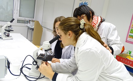 Estudiando el proceso de la ósmosis en 1º de Bachillerato