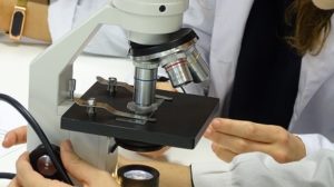 Estudiando el proceso de la ósmosis en 1º de Bachillerato