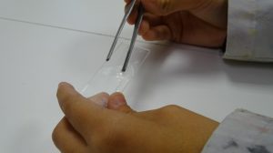 Estudiando el proceso de la ósmosis en 1º de Bachillerato